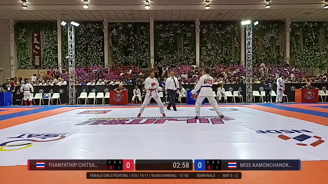 Frame at 00:13:10