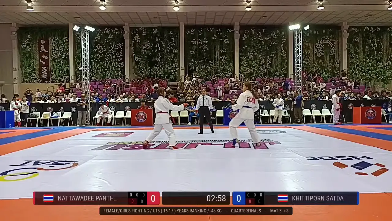 Frame at 00:17:35