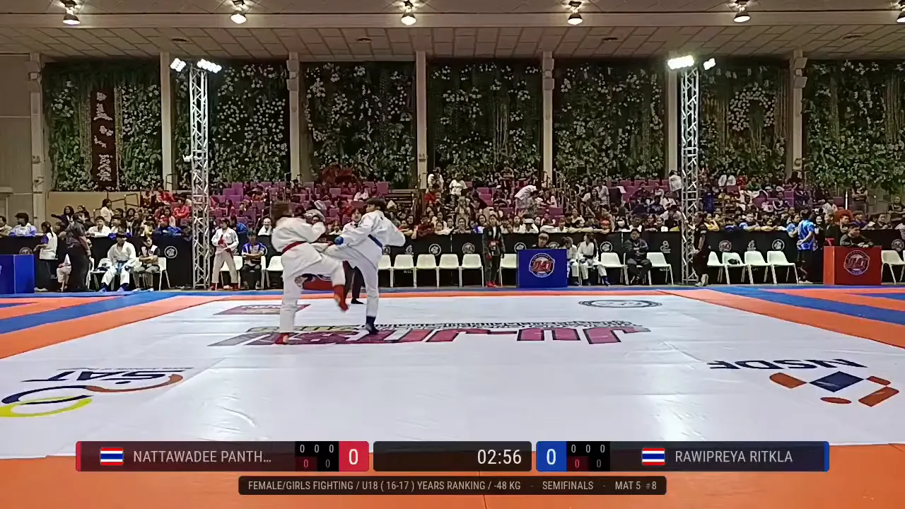 Frame at 00:46:10