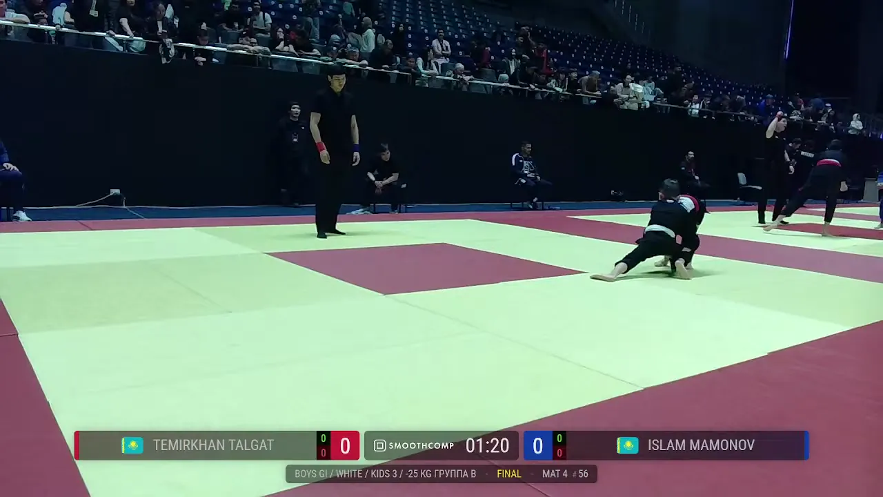 Frame at 01:38:30