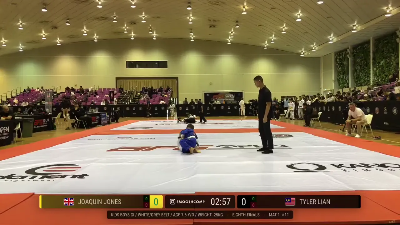 Frame at 00:29:20
