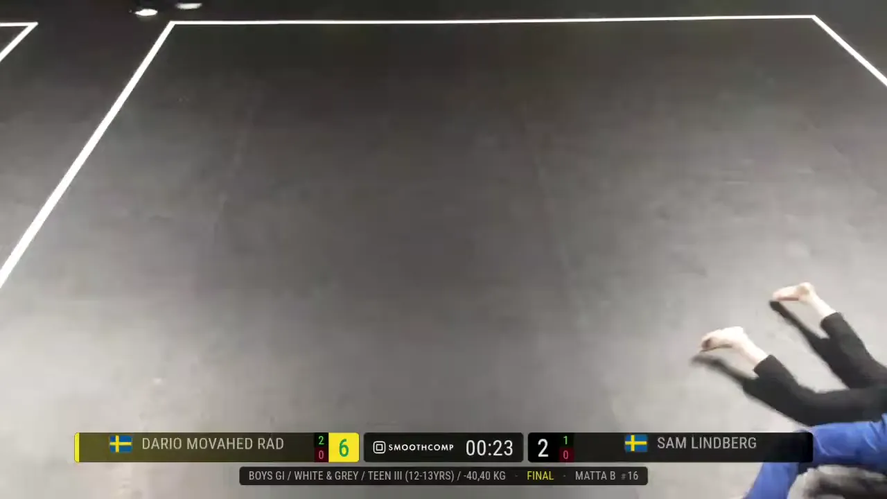 Frame at 00:29:16