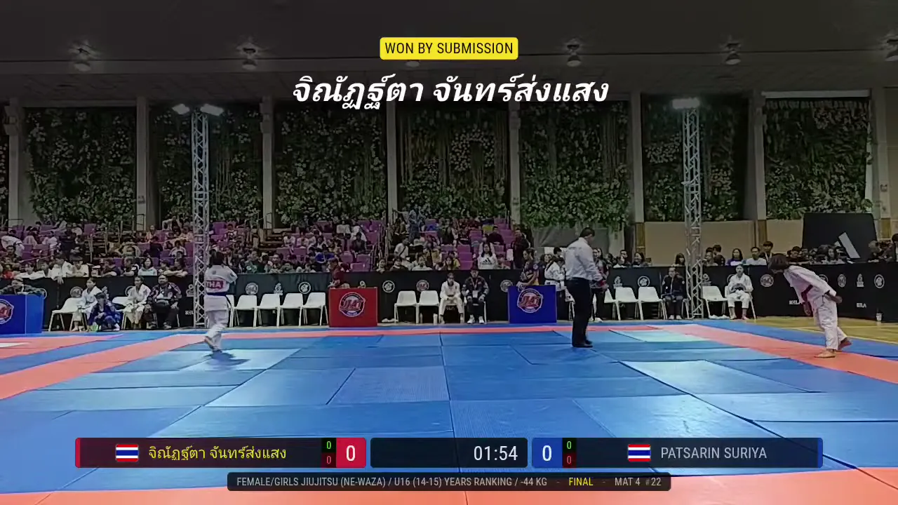 Frame at 01:33:37