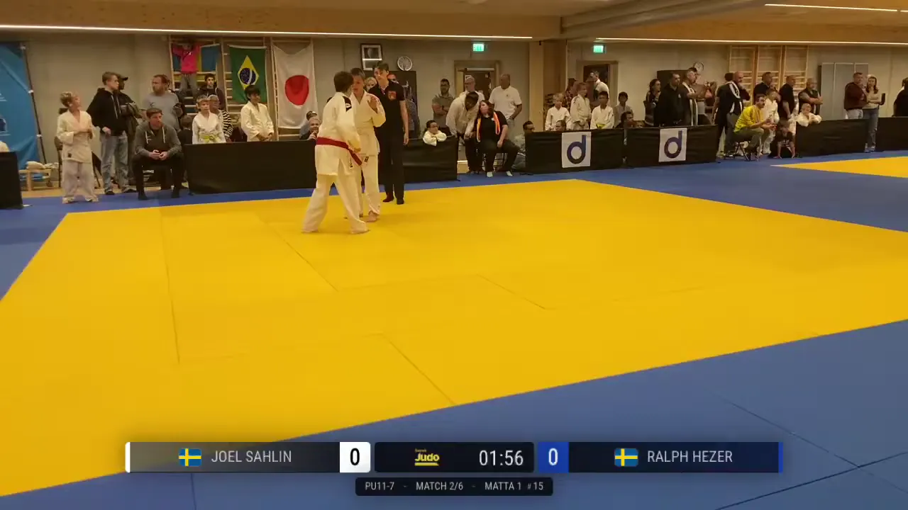 Frame at 00:29:45
