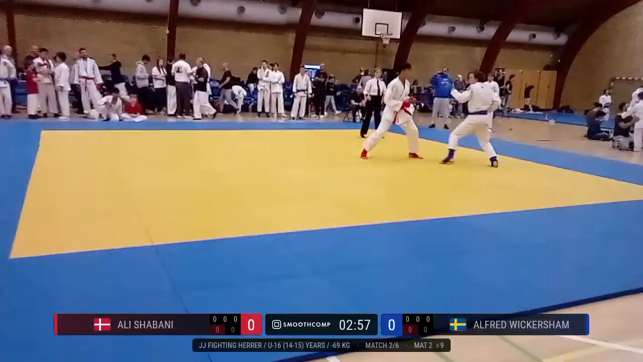 Frame at 00:29:51