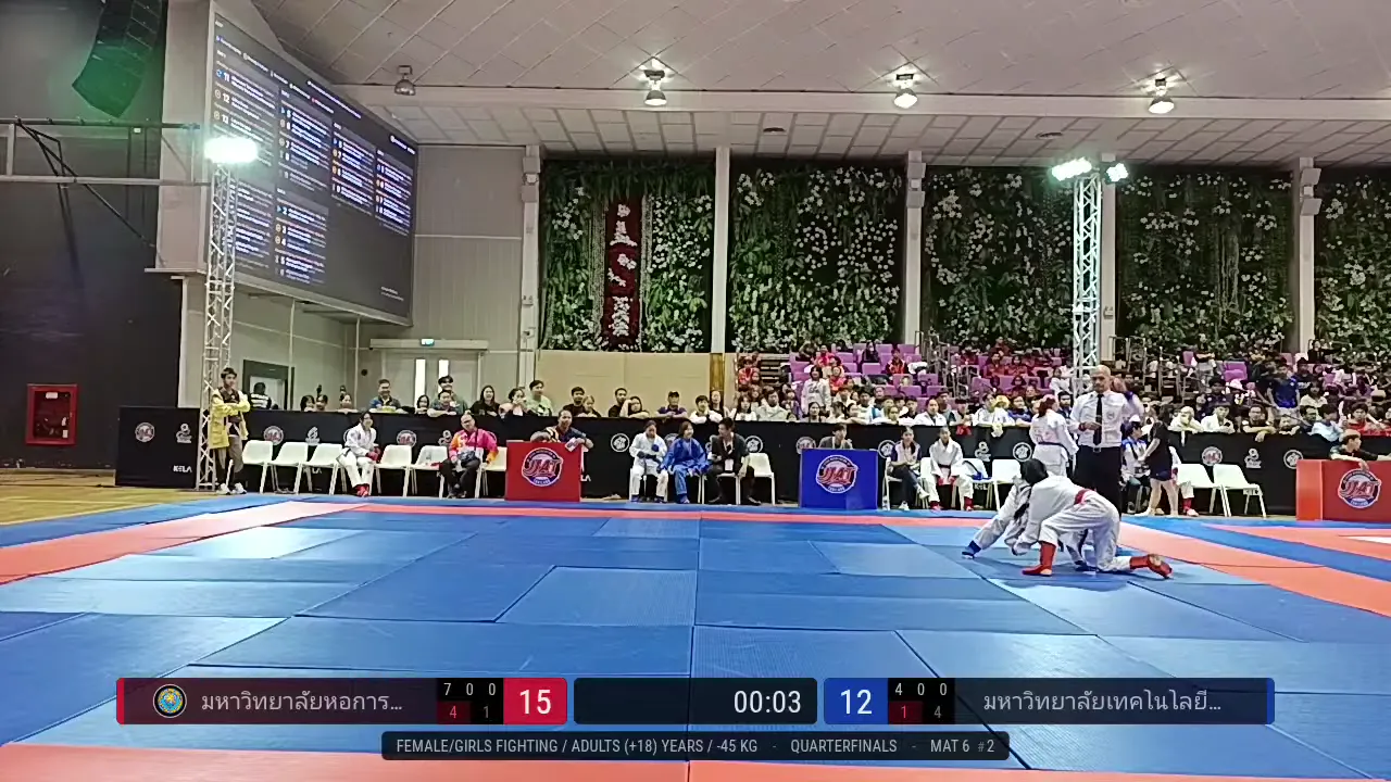 Frame at 00:29:33