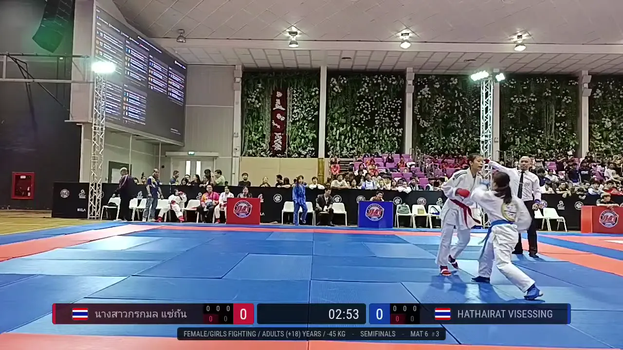 Frame at 00:30:48