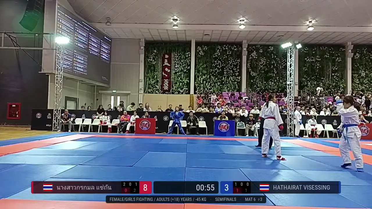Frame at 00:33:13
