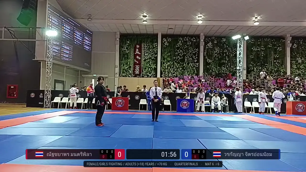 Frame at 00:48:18