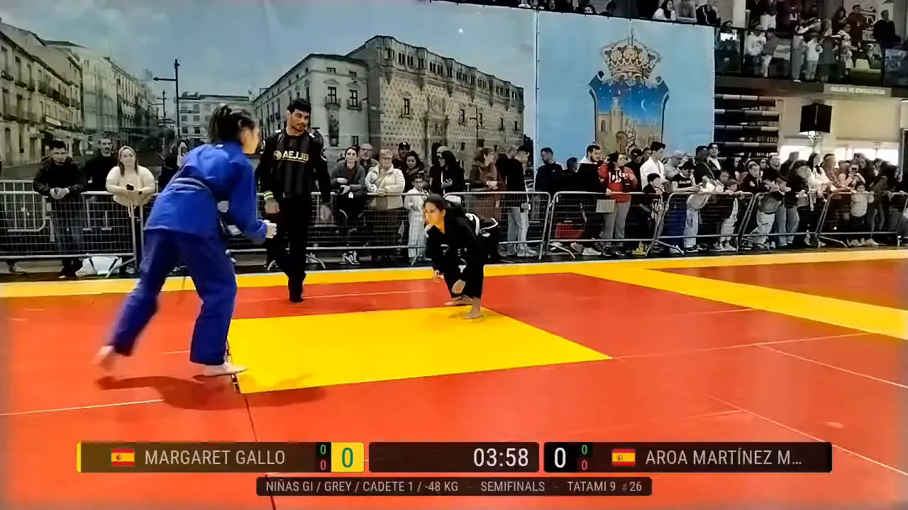 Frame at 00:20:17