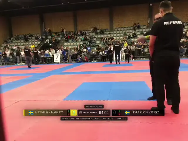 Frame at 00:29:37