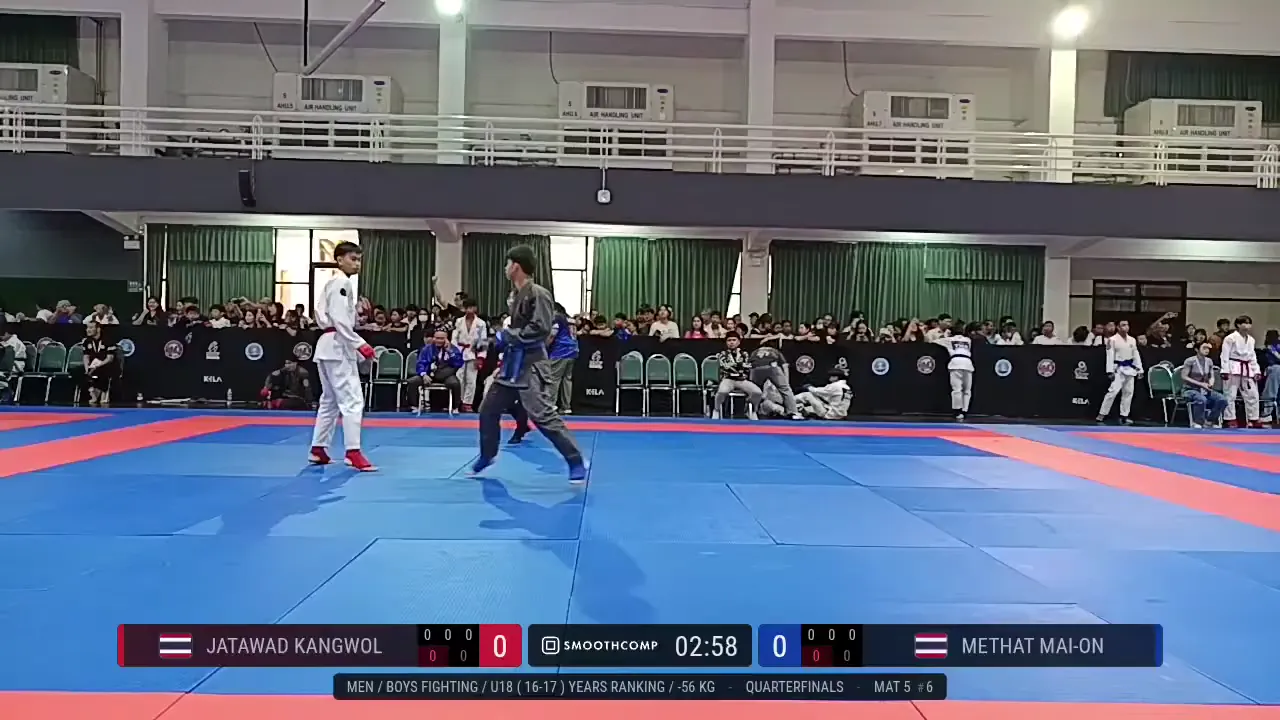 Frame at 00:30:06