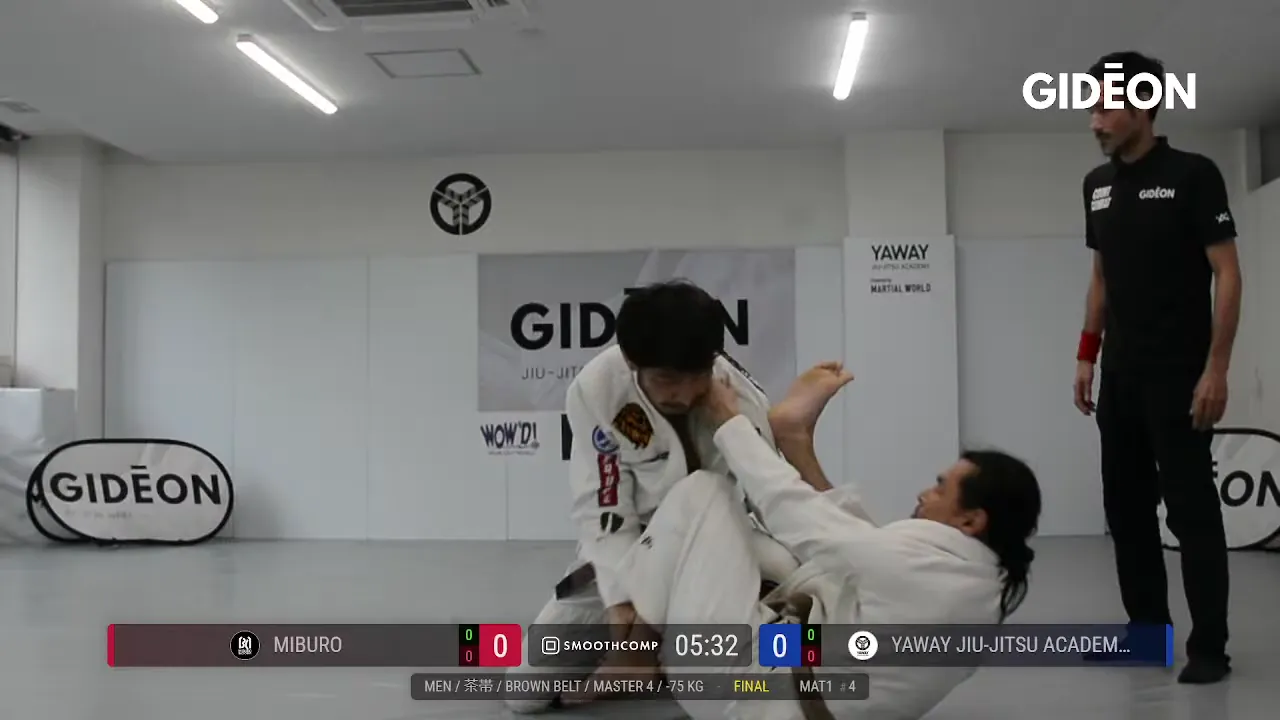 Frame at 00:30:15