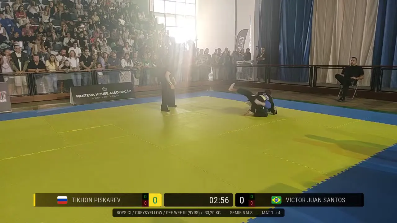 Frame at 00:29:45