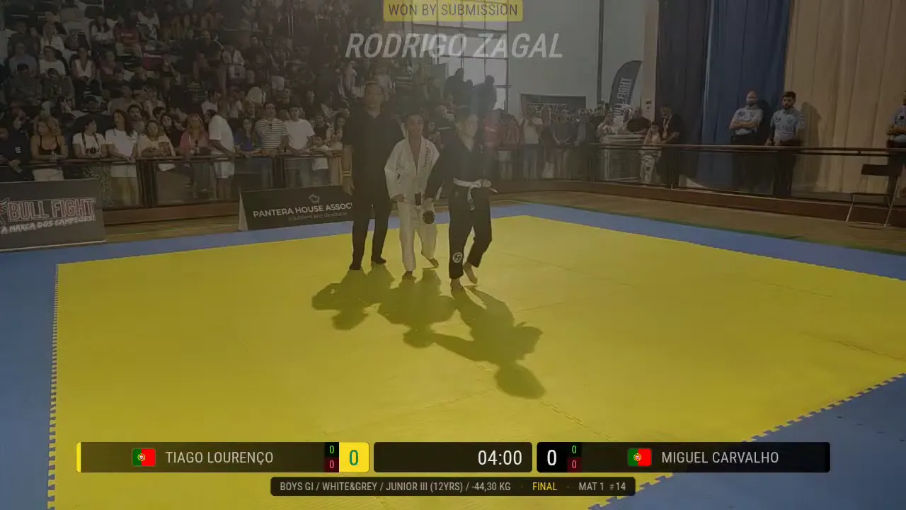 Frame at 01:33:10