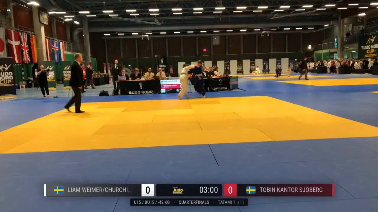 Frame at 00:35:31