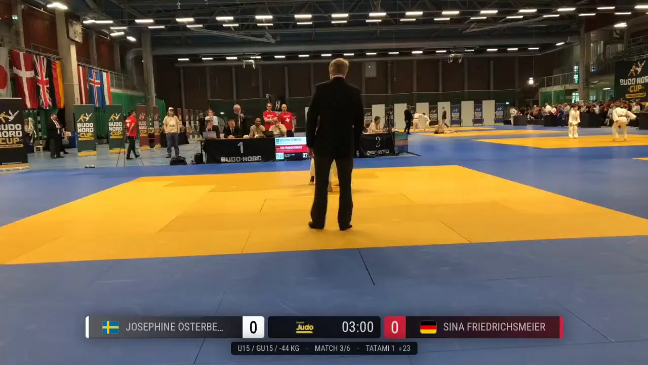 Frame at 01:33:01