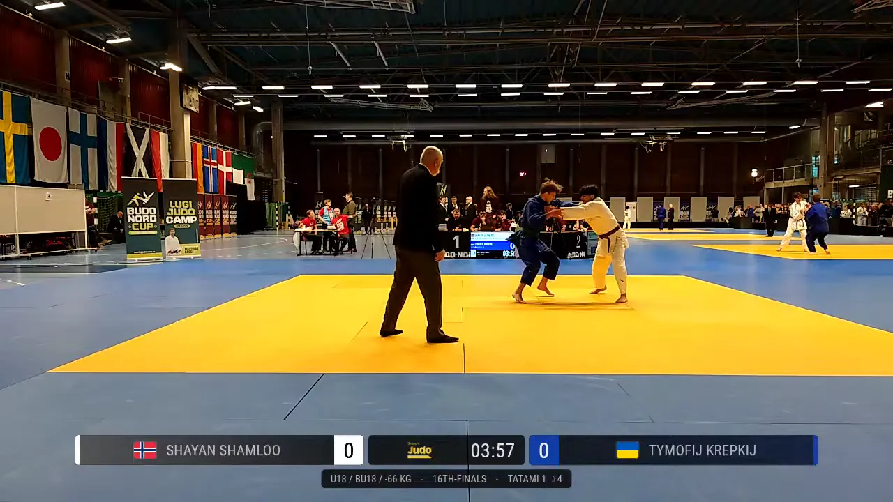 Frame at 00:33:31