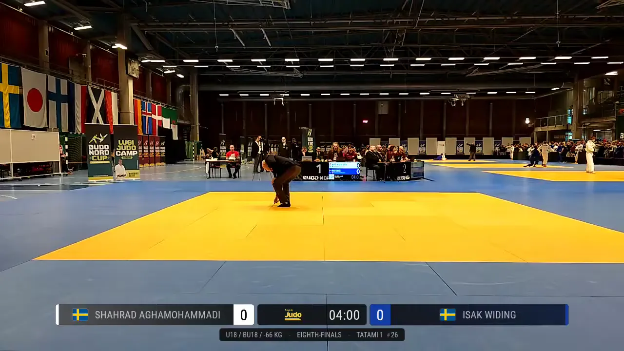 Frame at 01:50:37